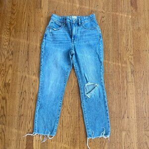 Madewell The Curvy Perfect Vintage Jean